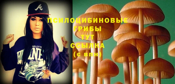 индика Бугульма