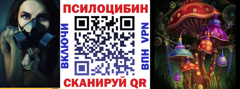 даркнет сайт  Вичуга  Галлюциногенные грибы Psilocybine cubensis 